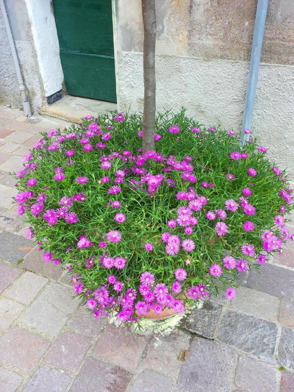 לינה וארוחת בוקר Campo Ligure Nonno Toni מראה חיצוני תמונה